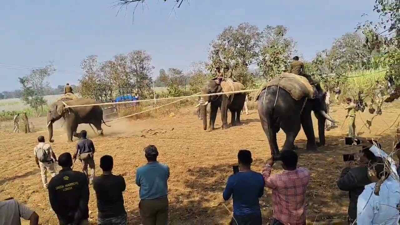 Catching an elephant Khanapur Belgaum